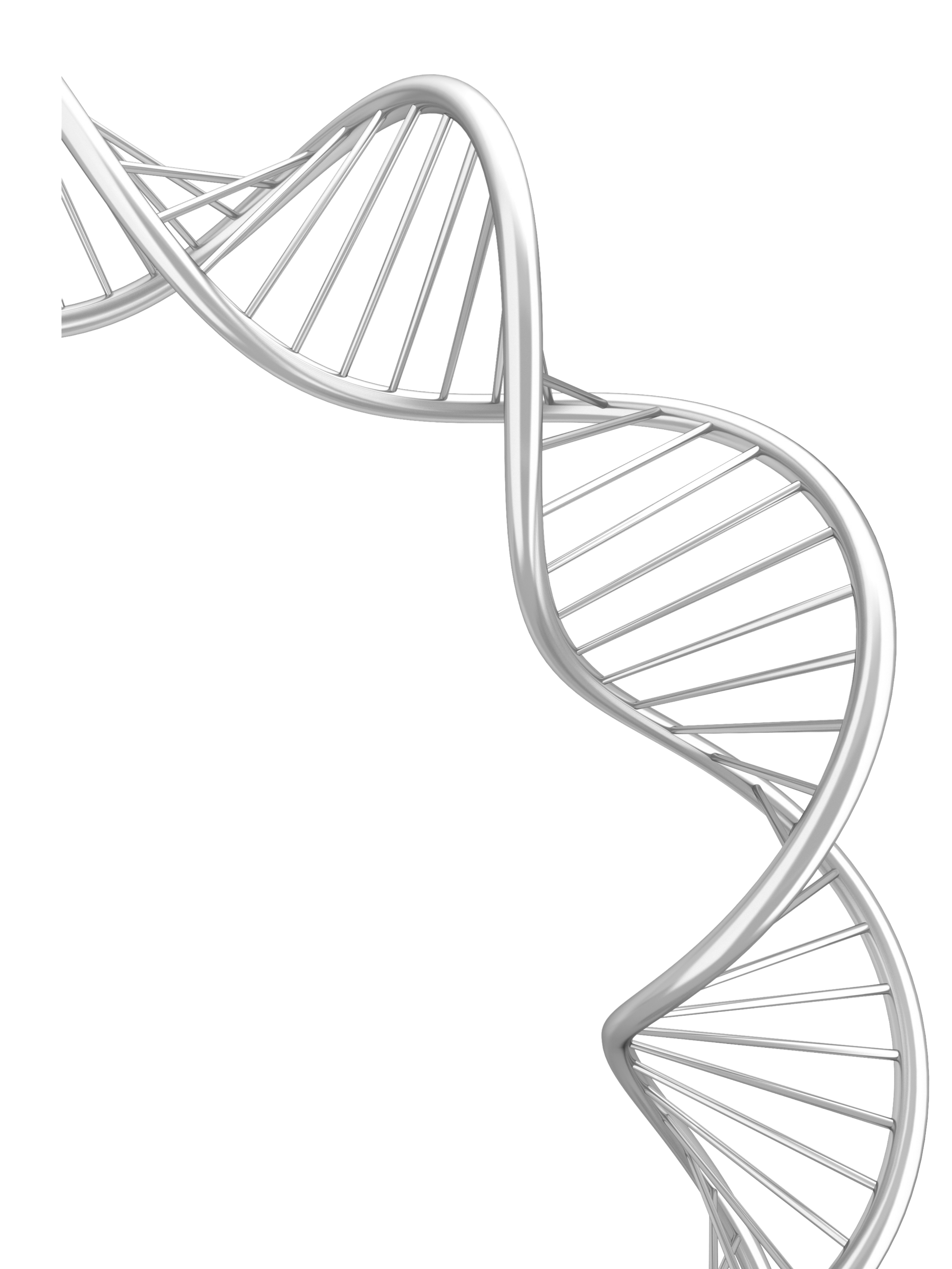 DNA Illustration
